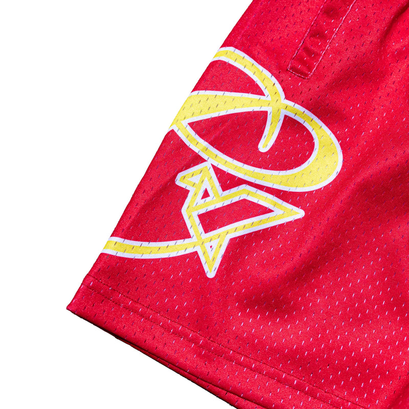 Mesh 'LOGO' Shorts